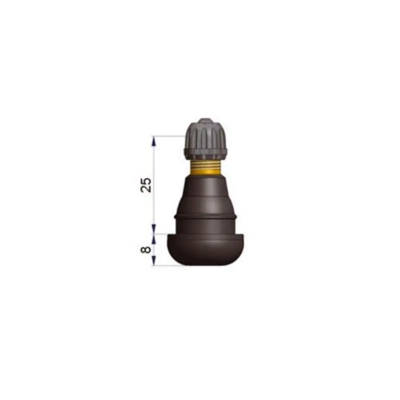 10 Valves de roue TR412