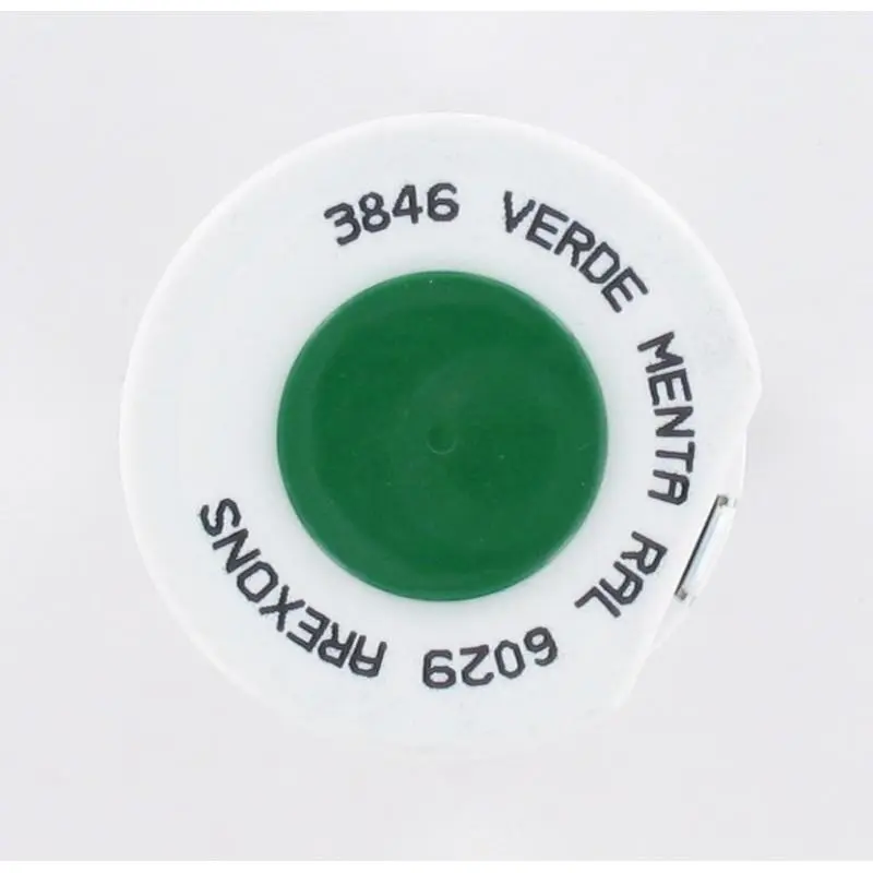 Bombe de peinture spécial métaux Vert menthe brillant RAL 6029 - 400 ml