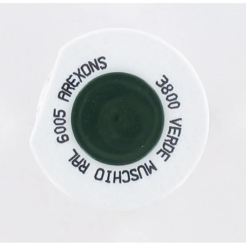 Bombe de peinture spécial métaux Vert mousse brillant RAL 6005 - 400 ml
