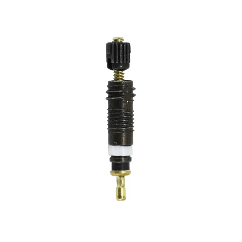 Corps De Valve Chambre A Air Schwalbe Noir Presta - Obus De Valve