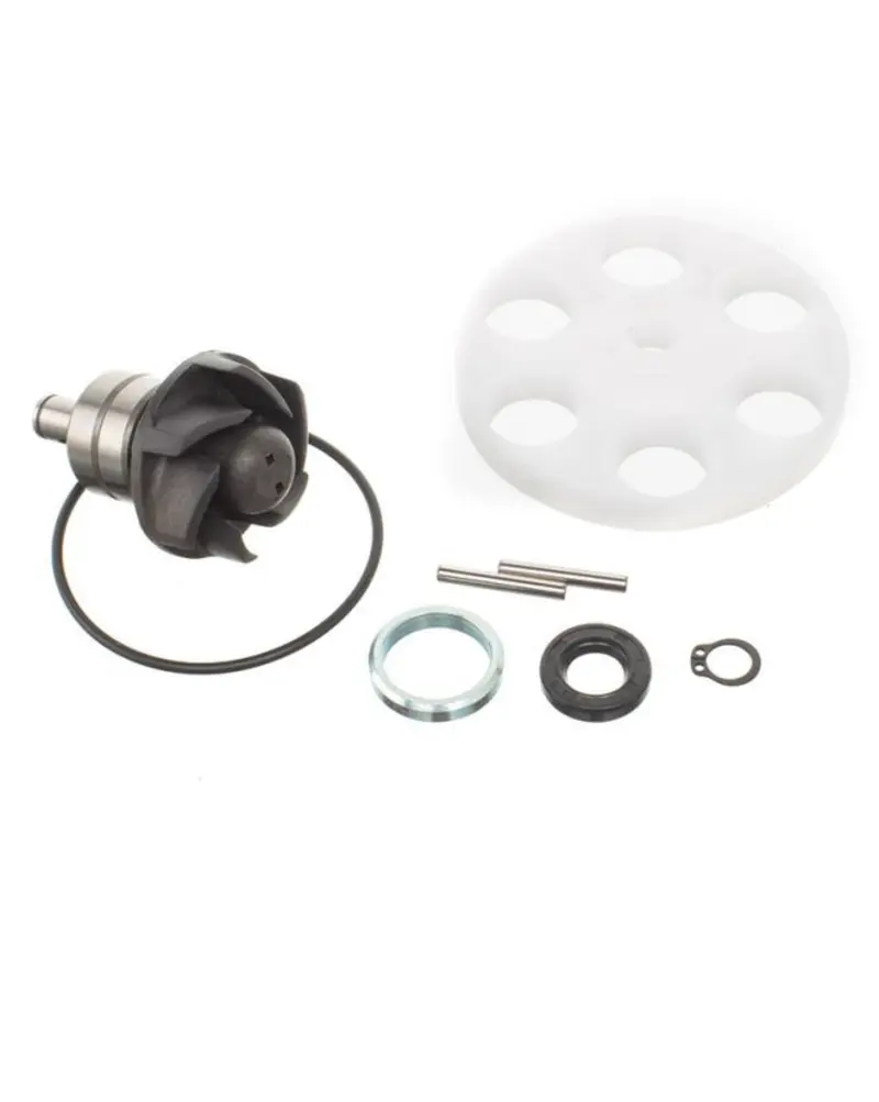 Kit pompe à eau