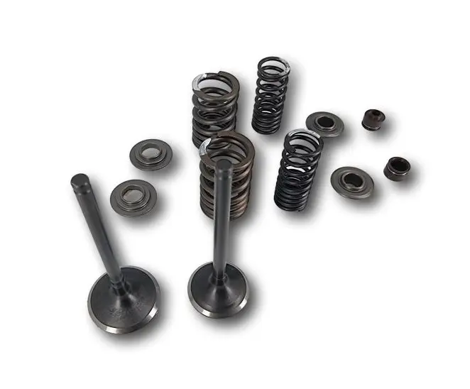 Kit soupapes 190 zongshen