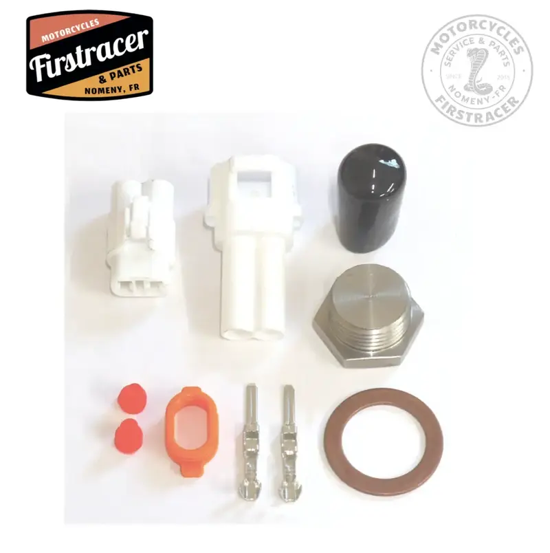 Kit suppression AIS Royal Enfield Classic/Bullet 500 EFI