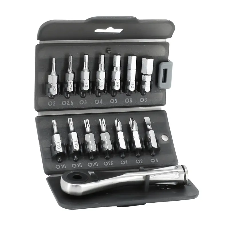 Outil Clé Allen Toolkit Clé Cliquet Acier INOX Avec Embouts Chc 2-2.5-3-4-5-6-8 Torx T10-T15-T20-T25 Et 3 Tournevis (Jeu De 14 Pieces)