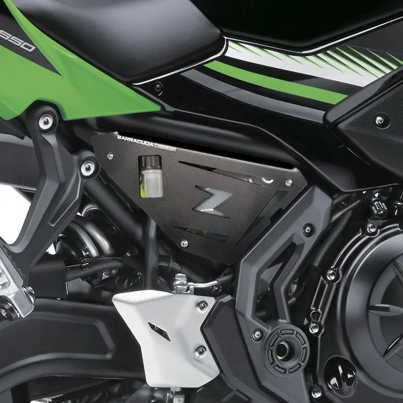 PROTECTION LATERALE Kawasaki Ninja / Z650