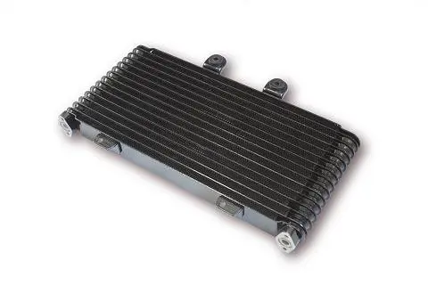Radiateur d'Huile SUZUKI GSF 1200 BANDIT WVA9 01/05