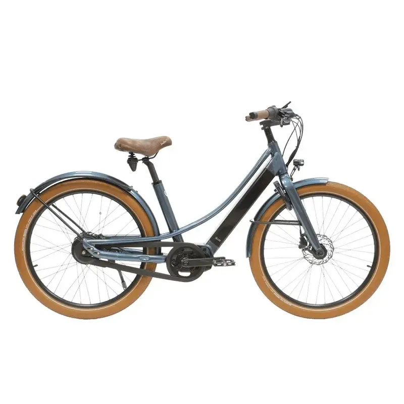 Reine Bike