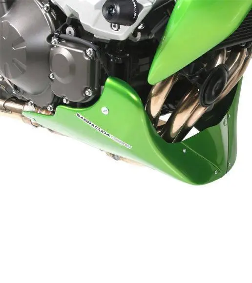 Sabot moteur Kawasaki Z1000 / 750 / 750R