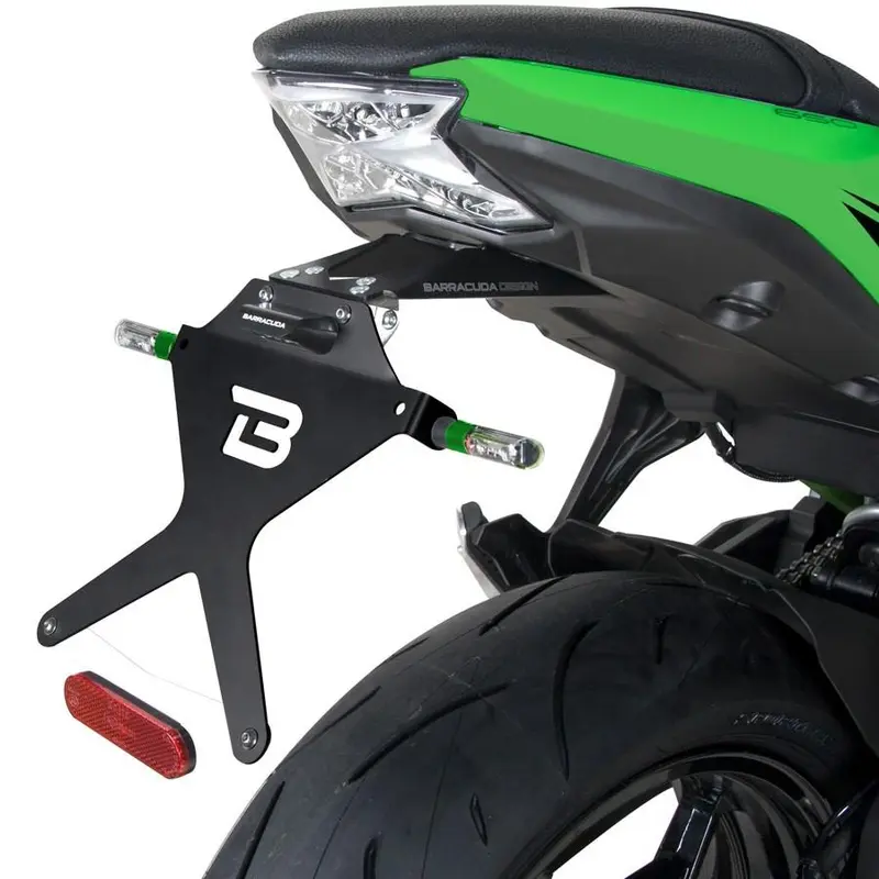 SUPPORT DE PLAQUE Kawasaki Ninja 650 / Z650