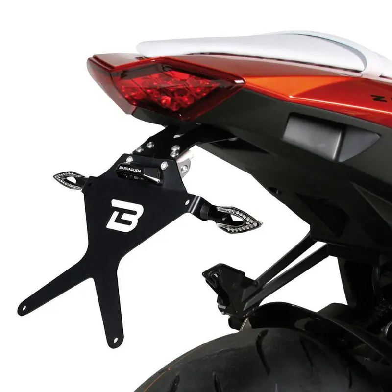 SUPPORT DE PLAQUE Kawasaki Z1000