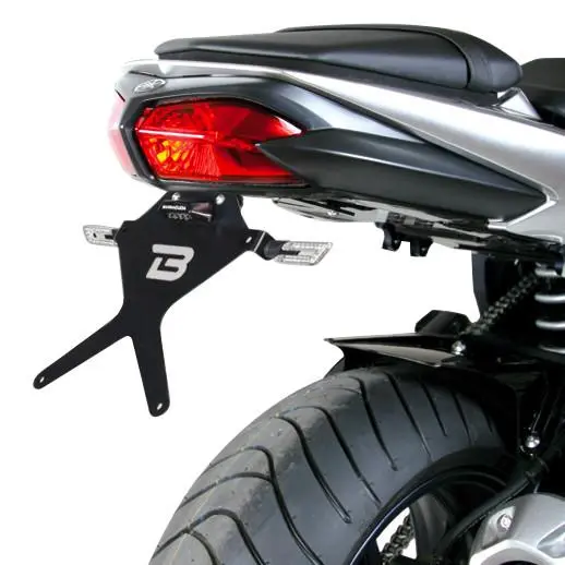 SUPPORT DE PLAQUE Yamaha FZ1-N / FZ8-N