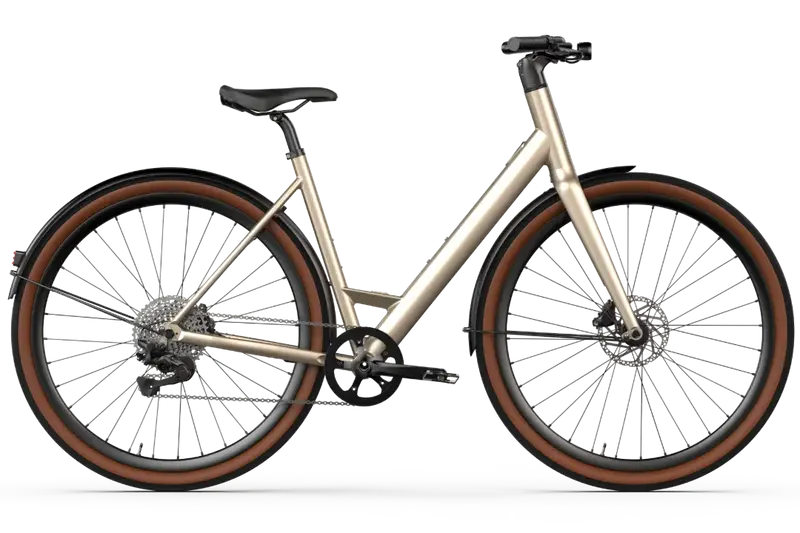 Vélo électrique Desiknio Oxytocin 11-Speed