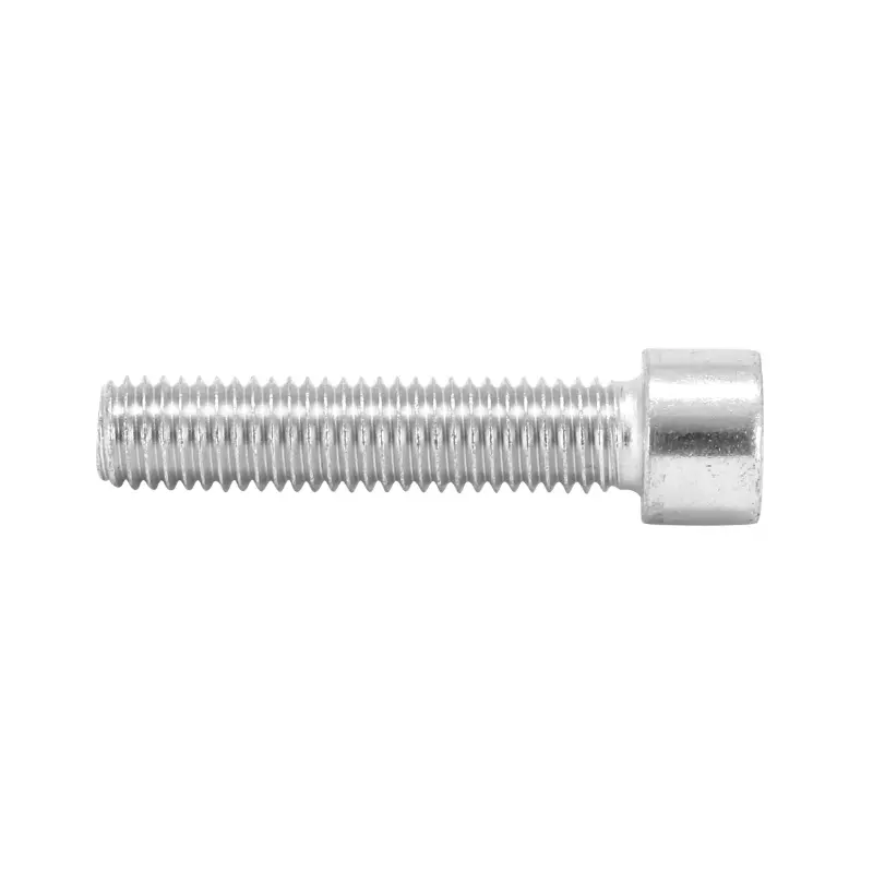 Vis Chc 6 Pans Creux M10 X 20 mm Chrome (Sachet De 10 Pieces)